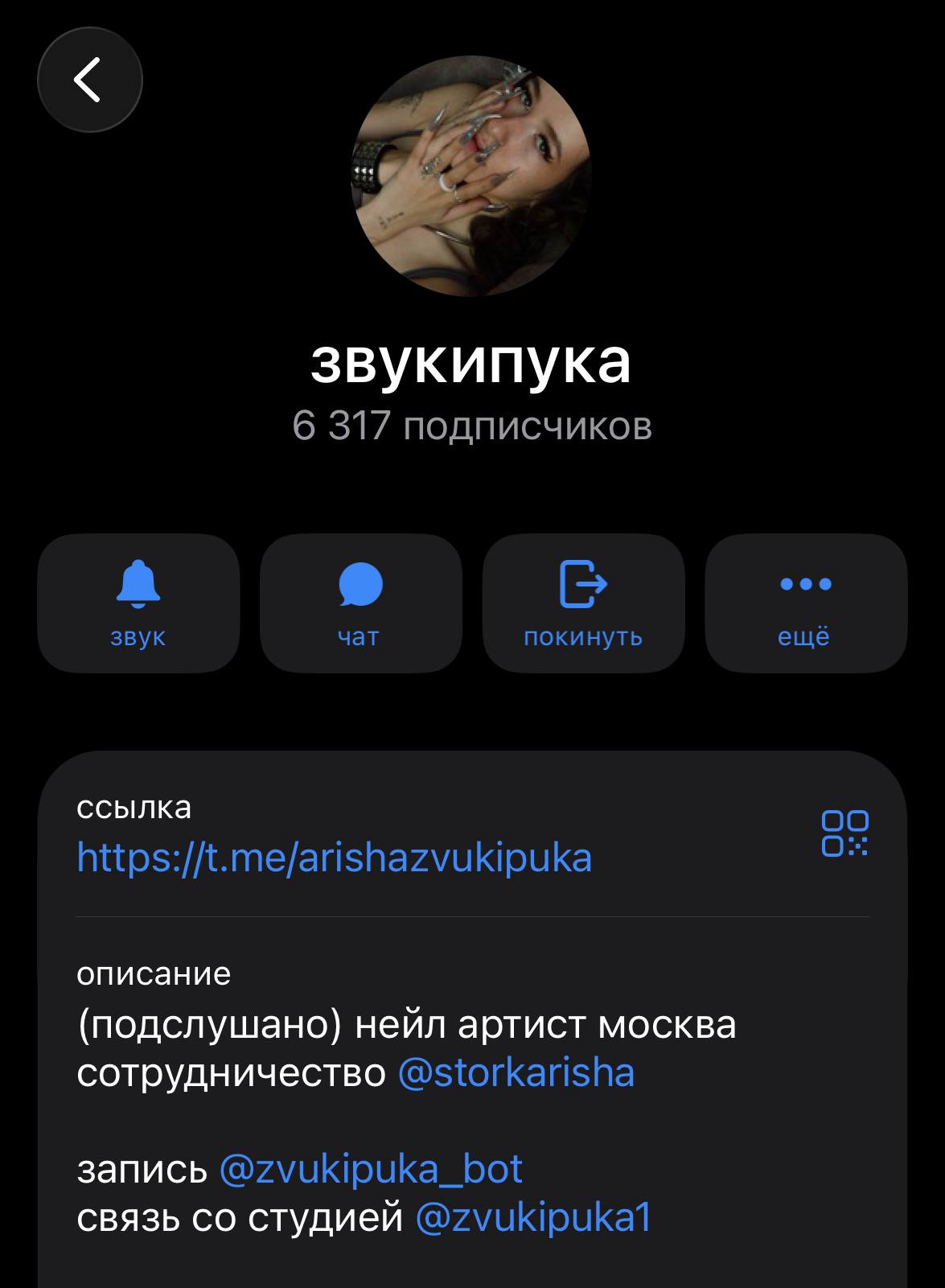 zvukipuka Telegram channel with more than 6,000 followers